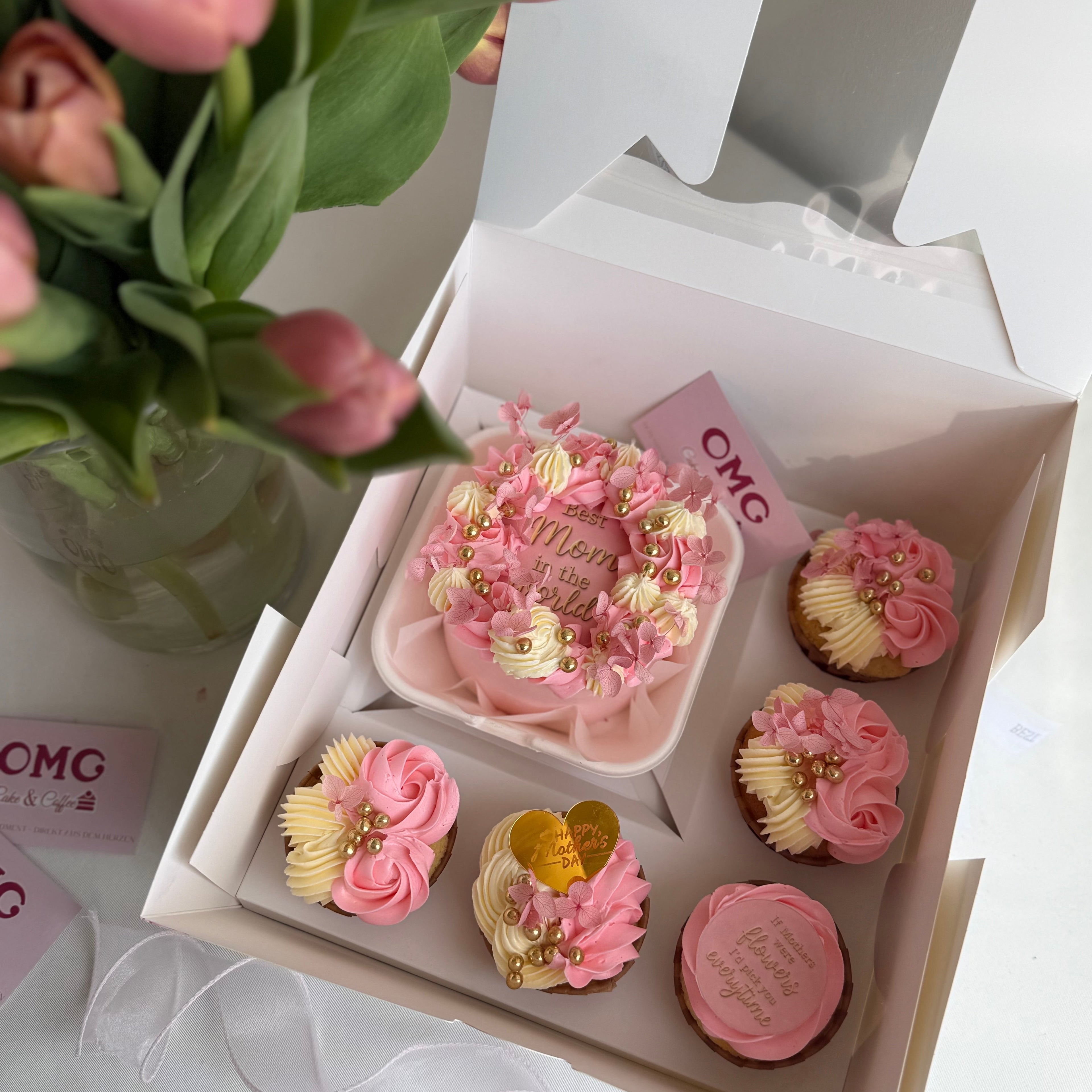 Bento+5 Cupcake
